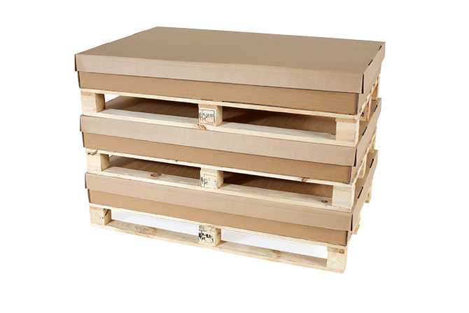 Large Transit / Pallet Packs